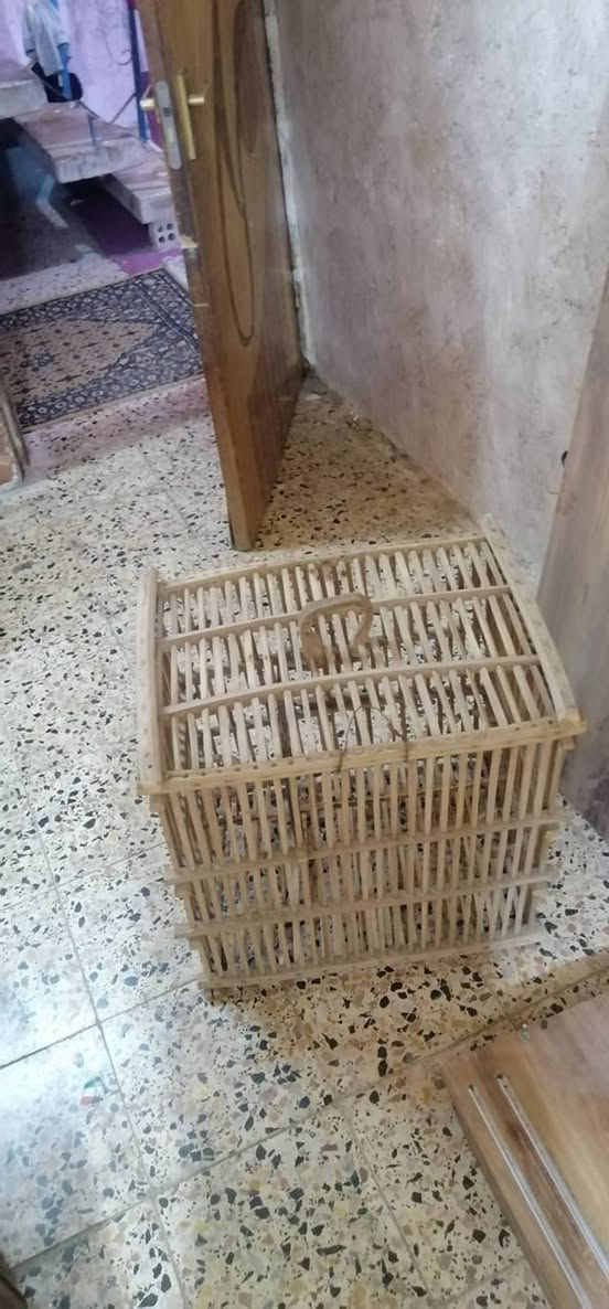 سلام عليكم زاويه لبيع سعر زاويه 30 وبيهه مجال وميز خشب بابين سعر 15 قفل 🔒 وميز زقير سعره 10 تلاف وقفص مال بلال جبير سعر 15 وبرداه مال طفال سعرهه 10 عنواني بصره حيانيه


**إذا كنت صاحب هذا الإعلان وتريد حذفه لأي سبب، رجاءا أرسل رسالة إلى الدعم الفني**