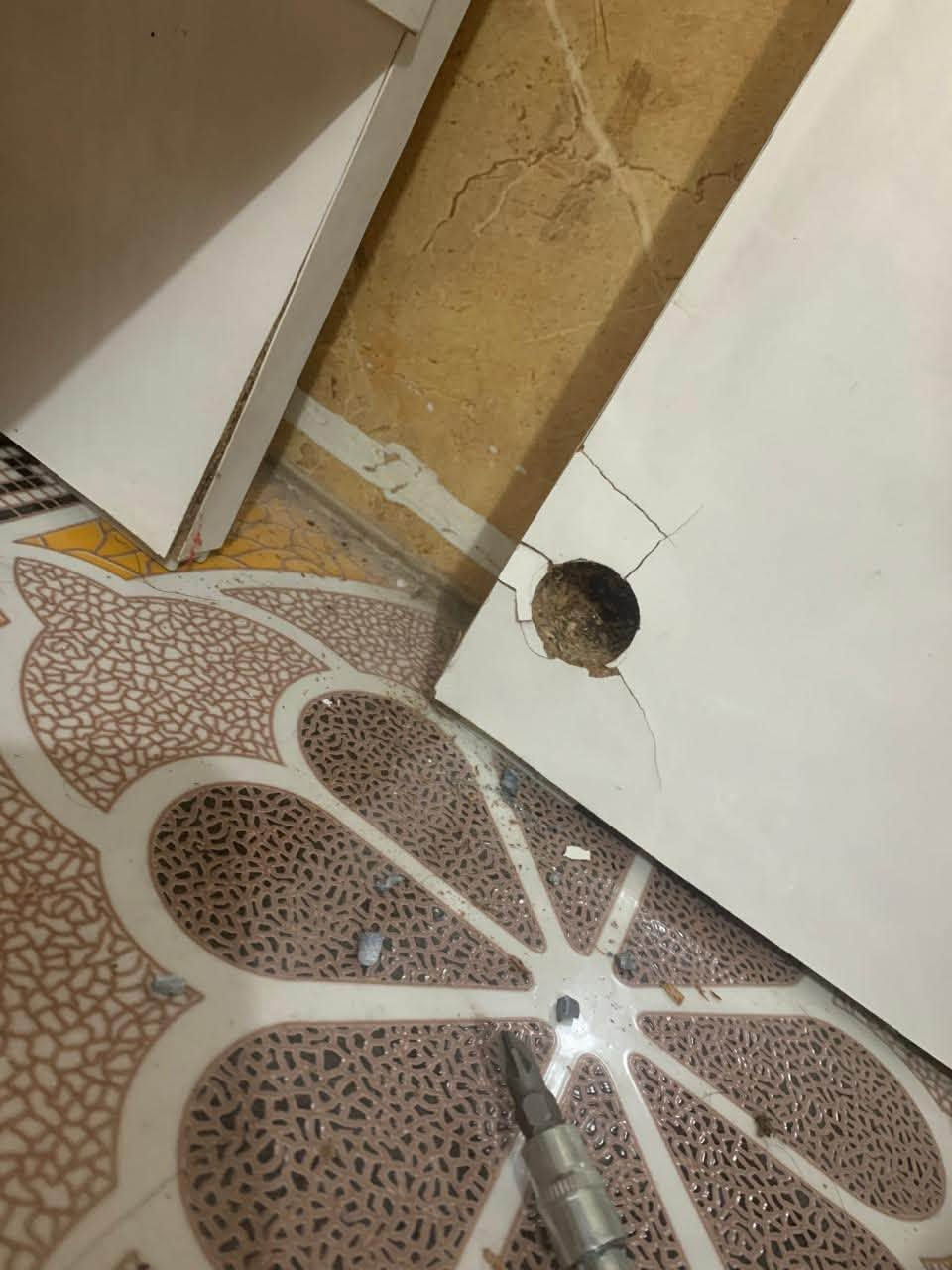 للبيع


**إذا كنت صاحب هذا الإعلان وتريد حذفه لأي سبب، رجاءا أرسل رسالة إلى الدعم الفني**