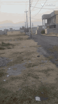 السلام عليكم دار للبيع مساحه 120 متر واجهه 7 نزال 17 
منقطه ناجي طه مقابيل القدس زراعي 25 طابقين الأول كامل والثاني نقص بس سكف الاول يتكون من أستقبال و مطبخ و غرفة وصحيات داخلية وخارجيه وصاله وترك خلفي والطابق الثاني 3 غرف و صحيات بناء طابوك درجه اولى للاستفسار الاتصال ***********
