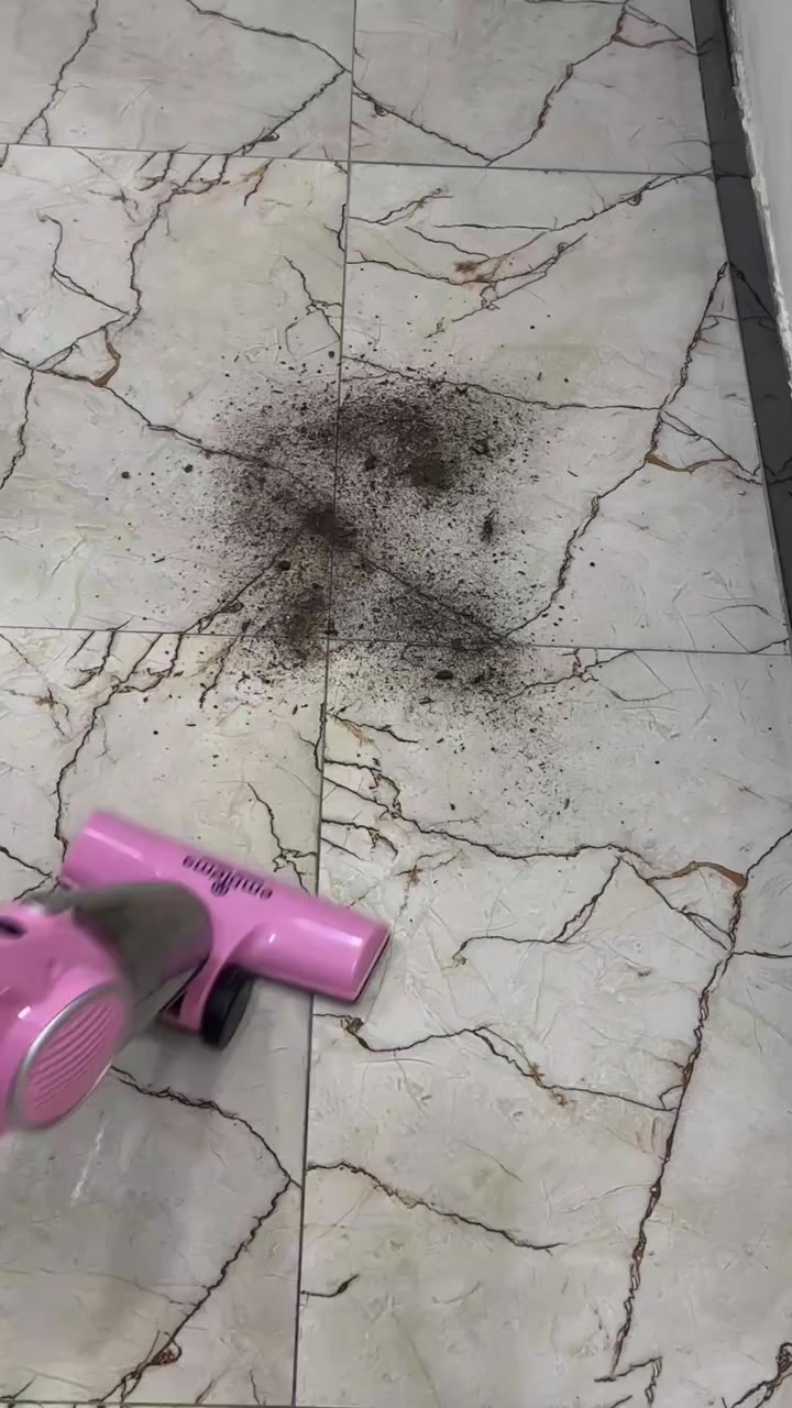 مكناسه مفرامه ميزان مكواة ب اسعار مختلفه اكتب تم ويوصلك اسعار


**إذا كنت صاحب هذا الإعلان وتريد حذفه لأي سبب، رجاءا أرسل رسالة إلى الدعم الفني**