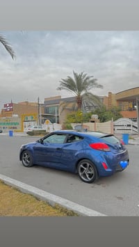 فولستر • ٢٠١٦ • وارد امريكي