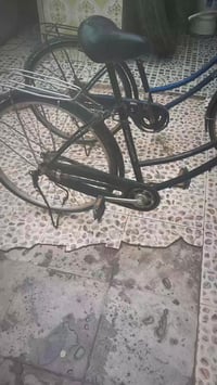 ثنينهن • بيهن مجال • واسط عزيزيه