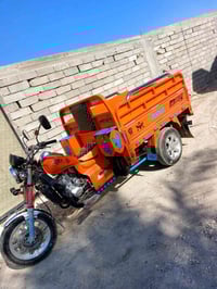 ستوتة فرس • 150 سي سي • قضاء المدينة