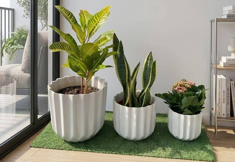 🎉 عرض العيد من بابونج 🌼
3 نباتات ظلّية 🌿
3 سنادين أنيقة
🚚 توصيل مجاني 
فقط بـ 25,000 دينار
يوجد. لدينا خدمة توصيل لكافة احياء مدينة الموصل


**إذا كنت صاحب هذا الإعلان وتريد حذفه لأي سبب، رجاءا أرسل رسالة إلى الدعم الفني**