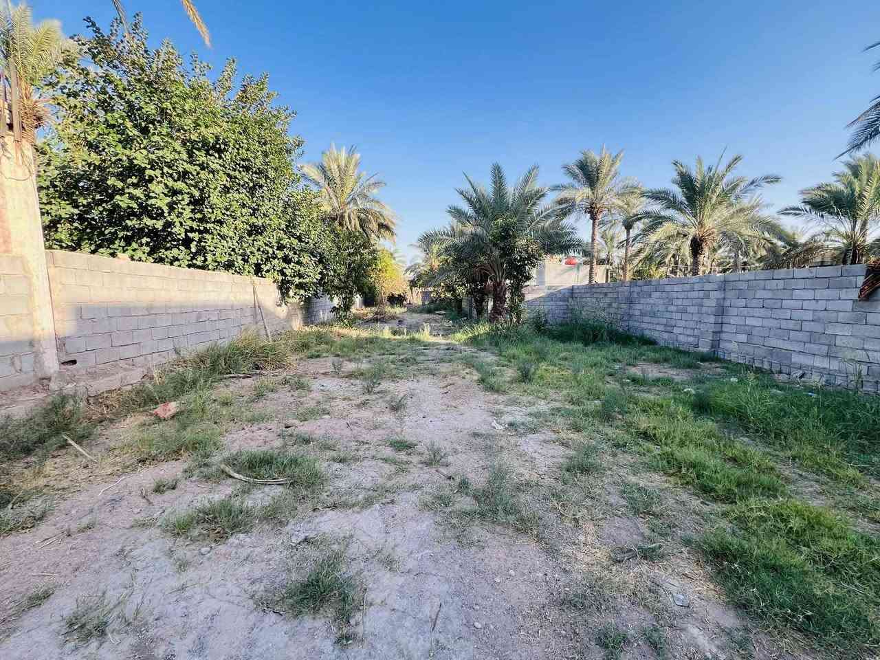 قطعة طابو زراعي سند ٢٥ مساحتها ٦٠٠م مقابل ملعب السايدين  عليها طريق من السده وطريق من السايدين تبعد عن السايدين ٦٠ م  مسيجة ببلوك 
للاستفسار ***********
***********
او مراجعة مكتب أمتار للعقار
