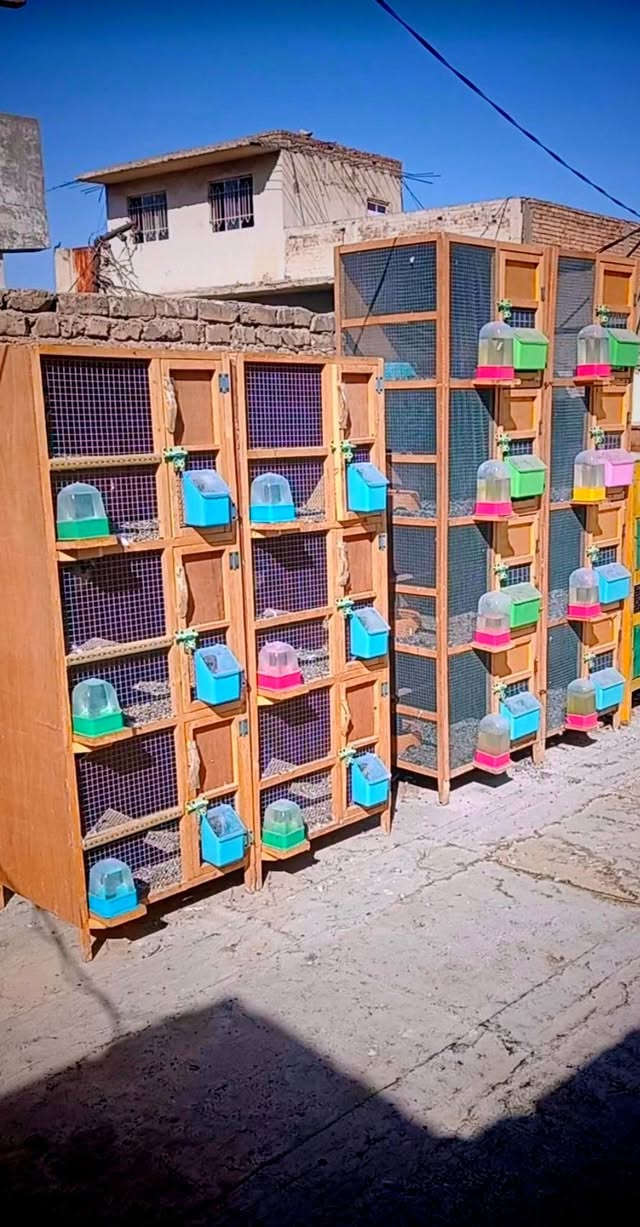 متاح خانات ام ال4عدد ثنين سيم بك معلف ولمي خارجي  وام ال3عدد ثنين رف وبيارسي خانات جدد مستعملات سبوع كلش نضيفات  سعر ام الاربعه لوحده ((50)) وام 3لوحده ((40)) معه كامل ملحقاتهن مكاني ديالى بعقوبه ***********
