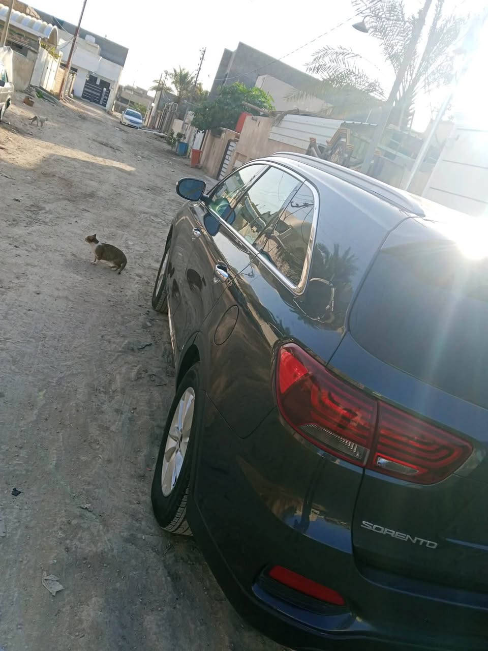 سورنتو 2019 امريكي حادثه  بنيد  صبغ فقط ماشيه 90 محرك 4 سبع راكب رادار كامره حساسات شاشه كبيره مكانه بابل رقم هاتف ***********
