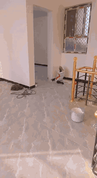 السلام عليكم
بيت للبيع المساحة 90 متر ركن الواجهه 9 م والنزال 10 م بناء حديث طابقين بناء طابوك 

ابو غريب الشهداء منطقة التصنيع للاتصال ***********

***********
