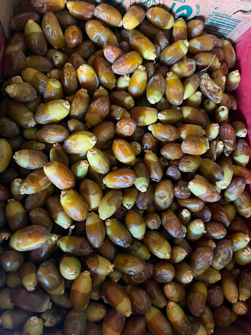 اللهم صل على محمد وال بيت محمد 

مسواك جديد ٧/١٩
🫛🥒🧅🥭🍊🍓💔🍑🫑🥬🥕🍆🍐🍍🍇

متوفر توصيل 🛵
📞 ***********
واتساب ايضاً. 

📌📍دخل المحدود /بجانب محطة الكهرباء
📍📍شارع الخليج /مجاور مطعم عيسى سابقا
