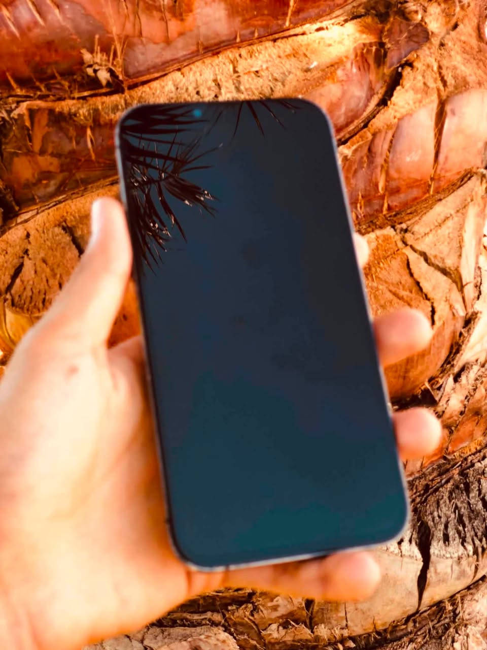 للبيع iPhone13Pro max
ذاكرة 256
مبدل شاشة ثلاث. خيارات 
فيس ايدم شغال 
جهاز كلة شغال -سماعت -كامرة امامية خلفية  -وايفاي -اتصالت 
بسعر مناسب  جداً -520
مكاني تكريت -البوعجيل 
الخاص مفتوح


**إذا كنت صاحب هذا الإعلان وتريد حذفه لأي سبب، رجاءا أرسل رسالة إلى الدعم الفني**