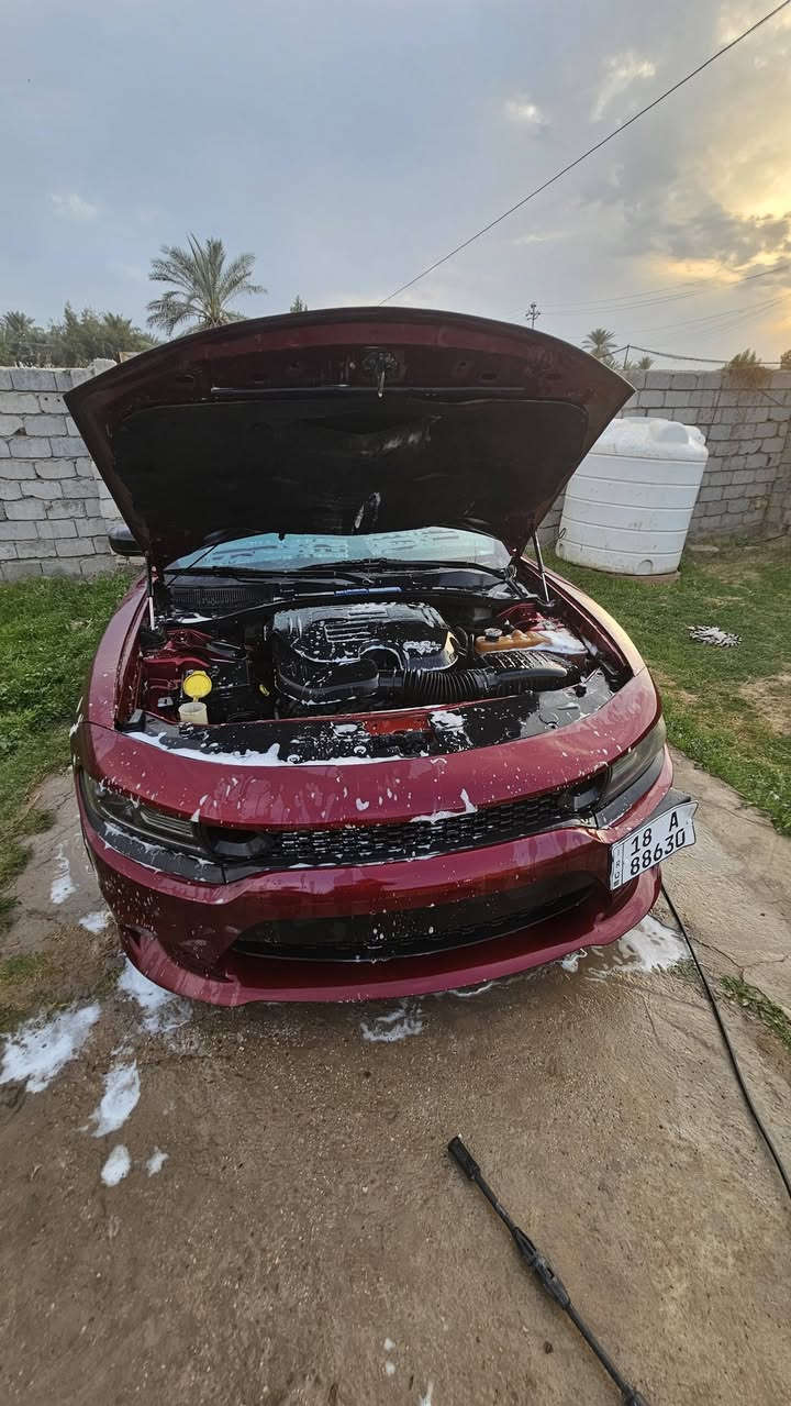 السلام عليكم 
جارجر للبيع موديل ١٧ sxtمحرك 3600
فول مواصفات واحد ع واحد شادله اكزوز 
ع ريمونت تسد واتفتح السياره خير من الله تراي للبصره 
الحادث امريكا بس دعاميه وهنا انصبغت ٤قطع ابيعك احزام للجماليه لامعجون ولاضربه ولاتبديل السياره مفوله لاخير
السياره باسمي اني شخصيا ثاني يوم اداورلك 
السعر ١٥٨وابيه مجال لاتصال ***********
