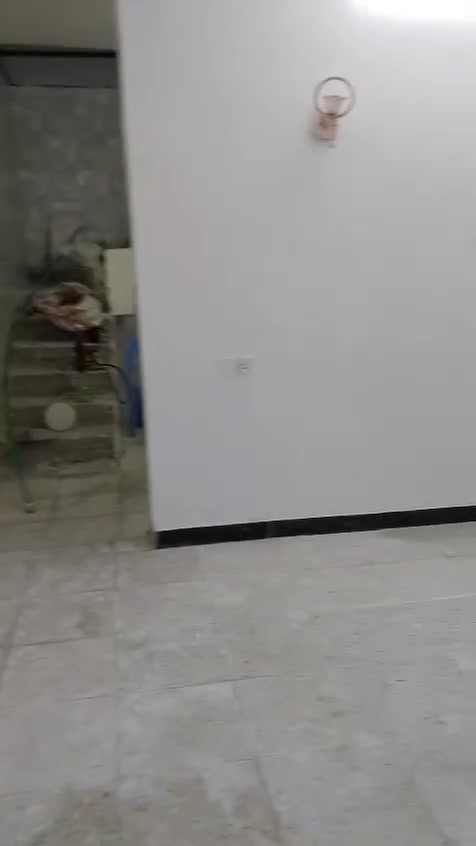 بيت ٥٠م قاط واحد بشارع جواهري لأفرع كرادين بناء حديث طابو زراعي سند ٢٥ كامل بناء ٣٤سع
هاتف ***********
