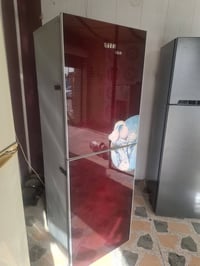 ثلاجة ومجمدة • تجميد ممتاز • تربية المحاويل