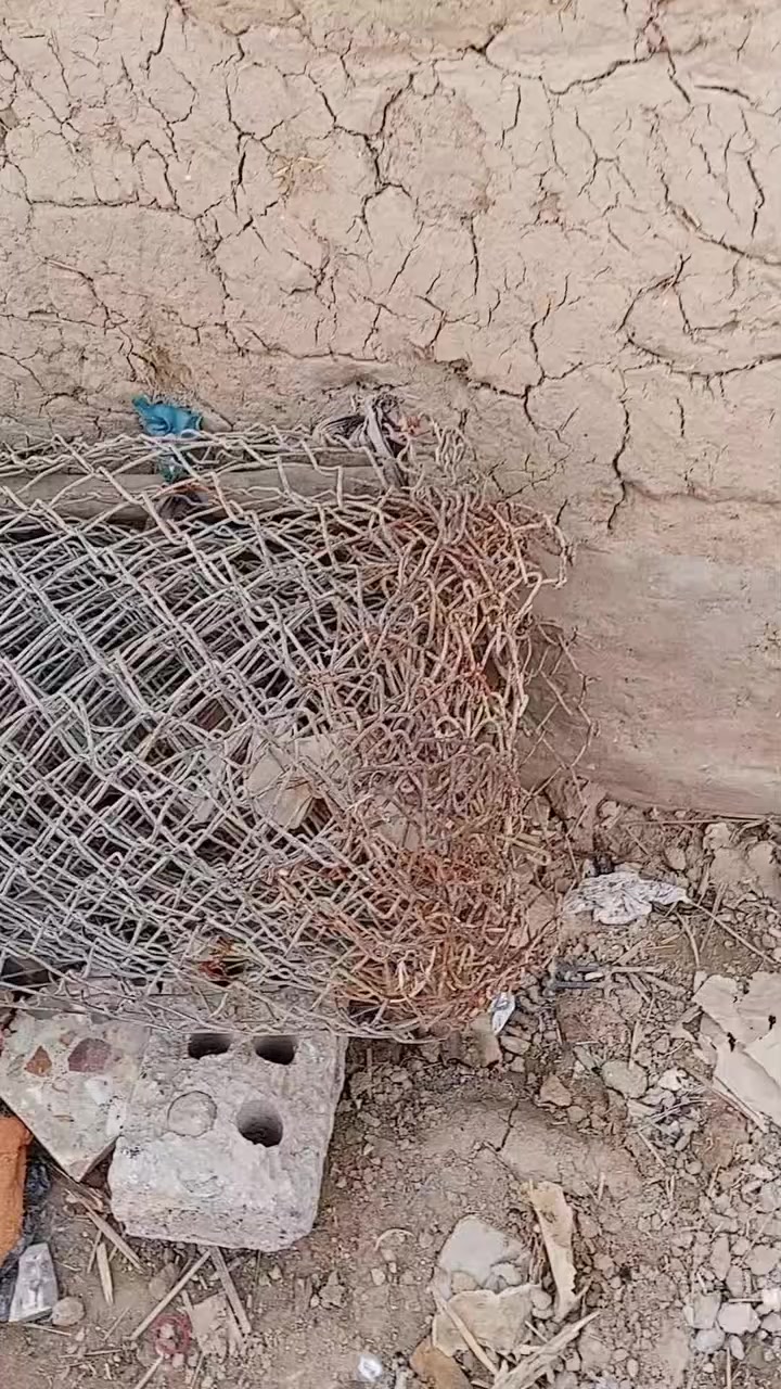 سلام عليكم شرك للبيع طول 12 متر الصلي


**إذا كنت صاحب هذا الإعلان وتريد حذفه لأي سبب، رجاءا أرسل رسالة إلى الدعم الفني**