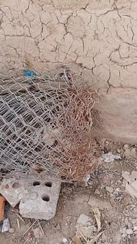 ١٢م • للبيع • ديكور