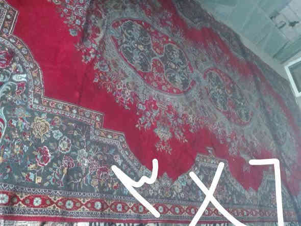 3/4سعر20بي مجال3/3سعر20بي مجال3/6سعر40 بي مجال رقم وتساب ***********
