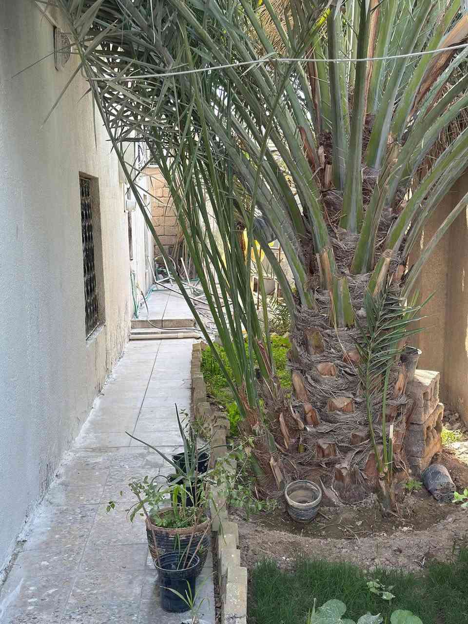 التوصيل في الصور


**إذا كنت صاحب هذا الإعلان وتريد حذفه لأي سبب، رجاءا أرسل رسالة إلى الدعم الفني**