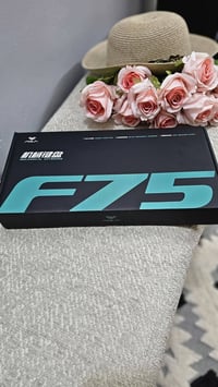 كيبورد ميكانيكي • AULA F75