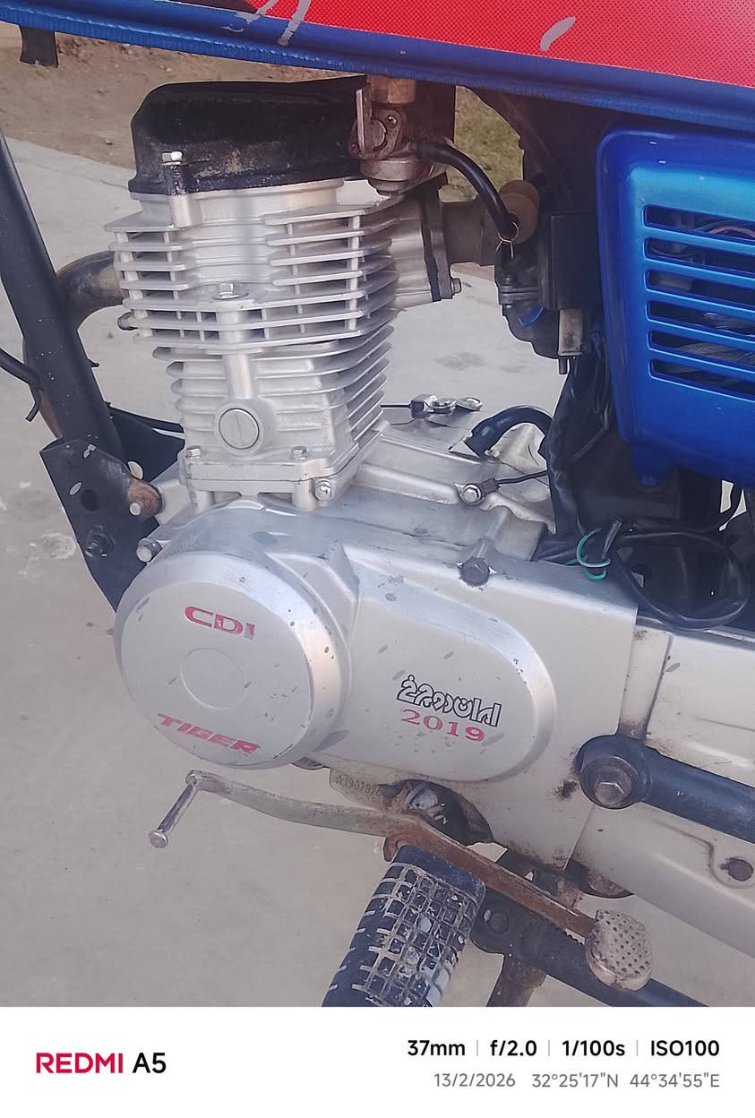 تايكر 19 مكفوله ***********
