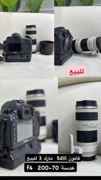 كانون 5D مارك3 • عدسة 70-200 f4 • الديوانية