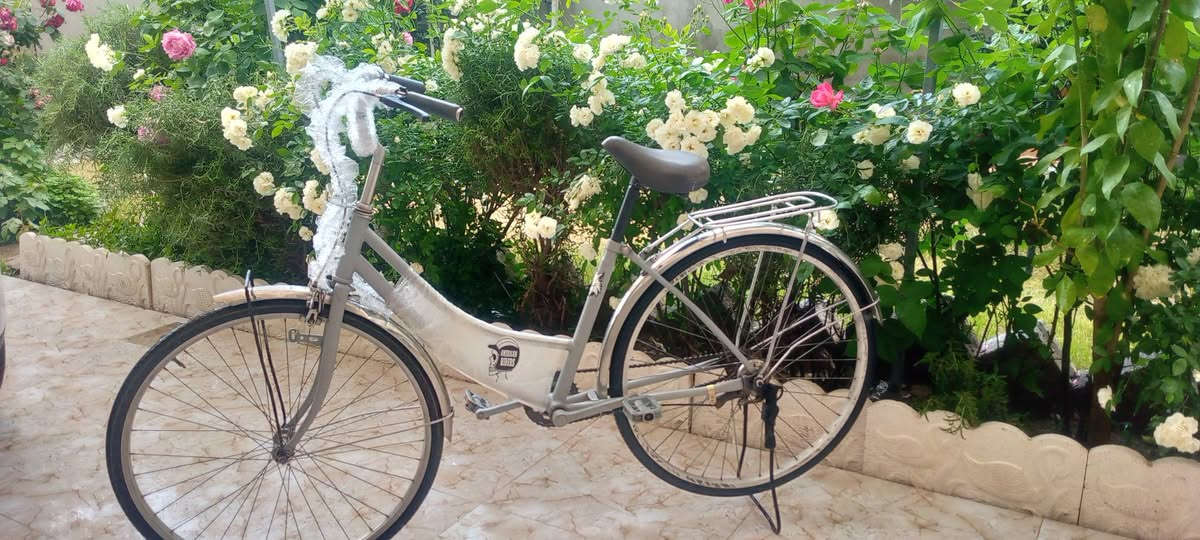 باسکیل سبعە حجم 26سعر50رقم ***********عینوان کەرکوک
