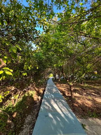 🏡🌳—مزرعة الظِلال العائلية—🌳🏡                المزرعة للاعداد القليلة   ...