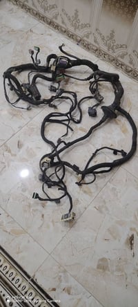 ظفيرة اوباما • ٢٠١٠ • گير ٥فيش