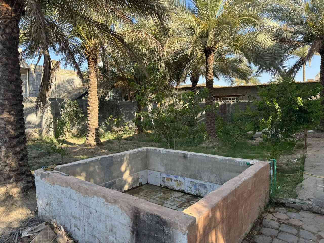 للبيع نصف دونم سند 25 تحويل بأسم المشتري 
يحتوي على بيت  بناء حديث  مساحة البيت 250. متر
 بي 4 غرف نوم  استقبال صاله البيت خريطة كلش حلوة مطبخ حار وبارد 
ويحتوي على 12 نخلة كلهن محملات
العنوان /   كربلاء  ،، منطقة الحافظ خلف مشتل العتبة الحسينية يبعد عن الشارع العام 600. متر
 متوفر  كافة الخدمات كهرباء وطني كهرباء مولده الشارع  * ماء اساله باب البيت 
للاستفسار اتصل على  
***********
