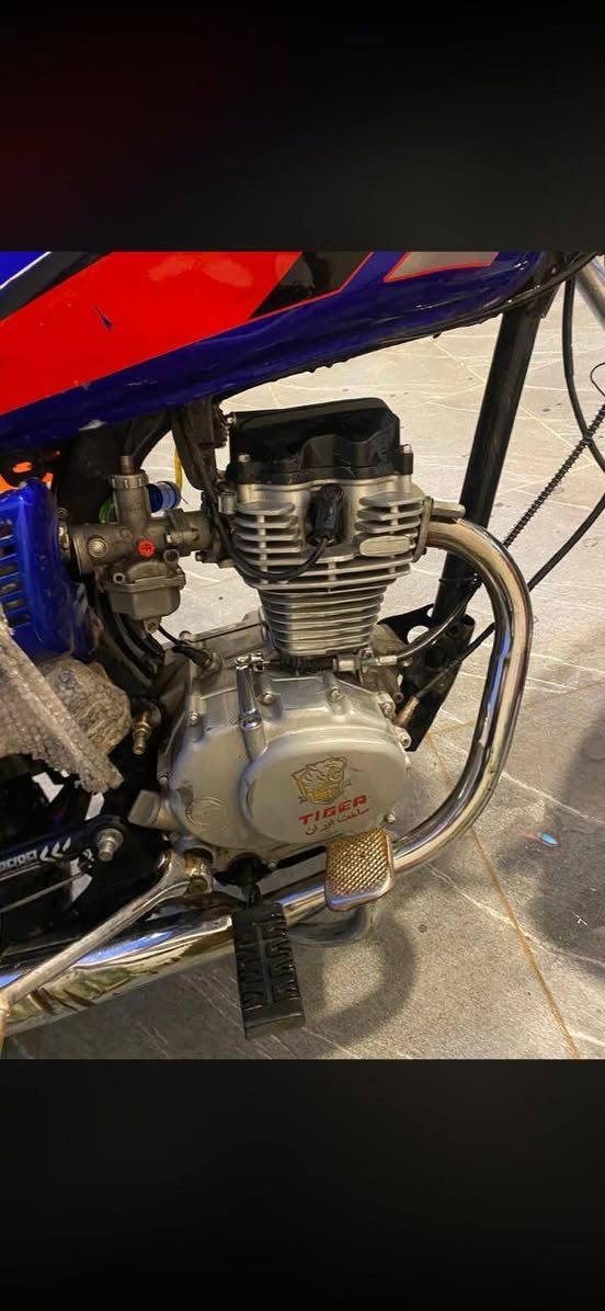 هم مراوس وهم للبيع
***********
