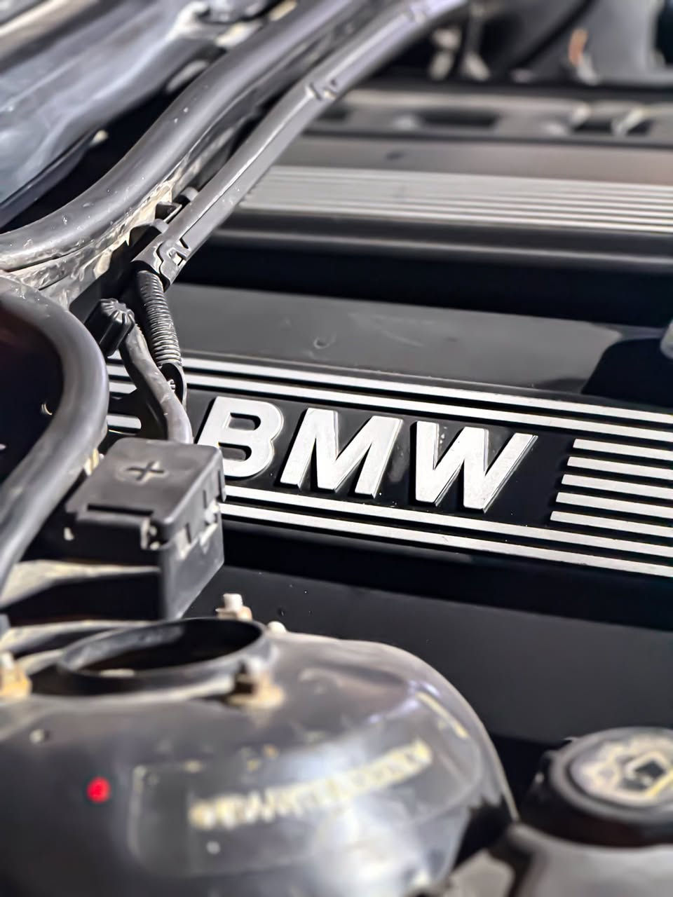 السلام عليكم من رخصت الادمن المحترم....
صلوا على الحبيب محمد 😍🖤..
من النوادر..🖤
BMW Category((325i)) Double Lantern 🚀.
بي أم دبليو 1998 حجم 325 السيارة مكفولة كفالة عاامة من الضربة ومن اي داخل صبغ فقط للجمالية بدووون داخل ولابارد!!!! السيارة بعدهي ع وضع الوكالة كلها بلادية وكل نقص مبيها من ناحية كير مكينة حدادية تبريد ثلج ❄️ تدفئة كلشي جاهز وشغال مواصفات فووول عدا الفتحه فقط....
مكينة 6 سلندر ((مسكر دبل فانوس)) 🚀.
تحكمات بلتسيرن.
كراسي تدفئة+تبريد.
كراسي كهرباء+خزن ميموري.
جنطة شفط.
نضام كنترول لايت تحكم بلكامل.
نضام ASC.
نضام APS.
قطعتين تبريد.
سستم صوت متكامل.
دبل ايرباك.
وبعد بيهاا مواصفات السيارة ماشية (233 الف) فقط وكل عددها وملحقاتها موجوده كلشي ع وضع وكالة بل اضافة عليها طبقة حماية ((نانو سيراميك)) مع الضمان رقم كربلاء دولي تتحول بكافة محافظات العراق سنوية لغاية ((2028)) السعرررر ((89)) وبيهاااا مجااال....😍🖤
للأستفسار:***********
