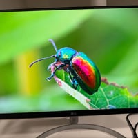 LG ٢٧بوصة • 4K • IPS