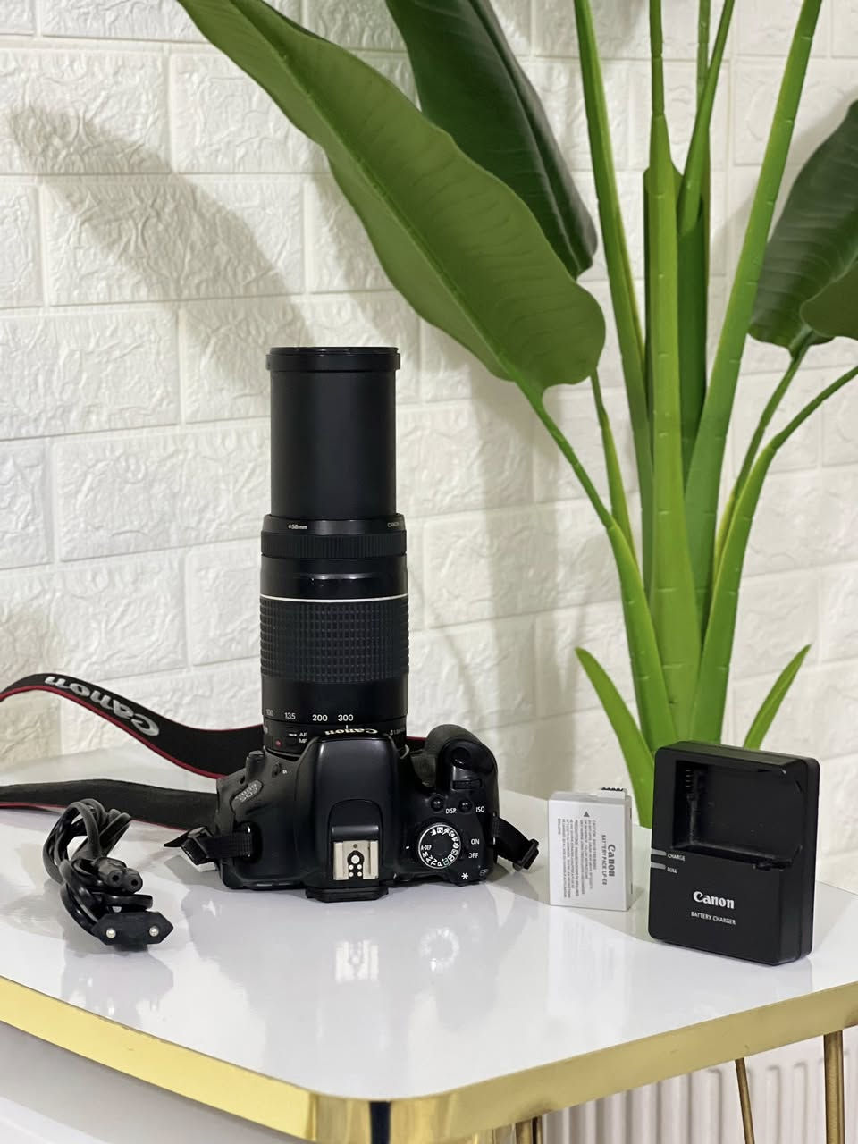 Canon 600D
Lens 75-300
شەحن
پاتری
زۆر پاک و بێ کێشەیە 

نرخ 199$


**إذا كنت صاحب هذا الإعلان وتريد حذفه لأي سبب، رجاءا أرسل رسالة إلى الدعم الفني**
