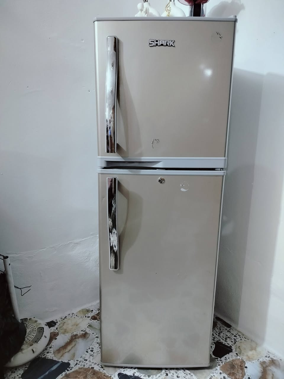 ثلاجه للبيع سعره 150 وبيه مجال


**إذا كنت صاحب هذا الإعلان وتريد حذفه لأي سبب، رجاءا أرسل رسالة إلى الدعم الفني**