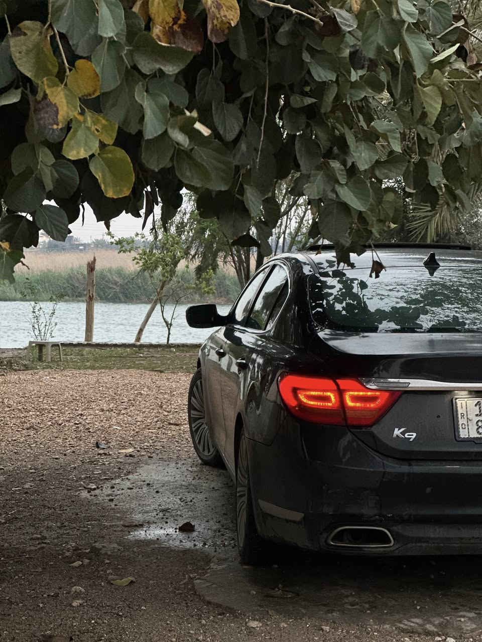 السلام عليكم
كيا 
K9
وارد امريكي 
للبيع او مراوس حسب القناعة
فئة الثانية
تجي فول عدا الجكات وشاشات
كير كوبرا
فول تحكمات امامي والخلفي ملكي
داتا شو
حساسات 
كامرات داير ميدور 
صندوك كهرباء 
5بردات 
6بصمات
فتحة سقف
نقاط عمياء 
امري قلاب ع بك 
مواصفات بعد هواي بيها
بيها صبغ جاملغ وباب الصدر بدون ضرر بدون تصليح بدون دواخل رش فقط 
صندوق من فوك بي جراد شوية 
بغداد باسمي سنوية جددتها جديد
تخم تاير جديد صدر جديد سويته نقصها بس شمعات و اذان الكير وبوليش يرادلها 
مكانها الانبار الخالدية 
السعر 168 وبيها مجال 
للاستفسار ***********
