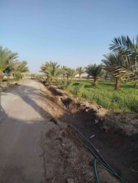 1 ارض 10 دونم طابو صرف الكاظمية في بغداد التاجي تبعد عن شارع عام سبع ا...