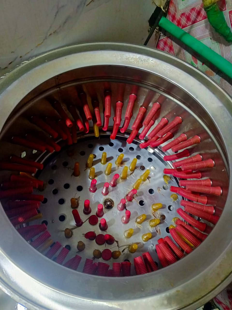 سلام عليكم هلاسه لبيع شرط الشغل وتنضيف شرط 5 دجاجات تنضفهن سوه


**إذا كنت صاحب هذا الإعلان وتريد حذفه لأي سبب، رجاءا أرسل رسالة إلى الدعم الفني**