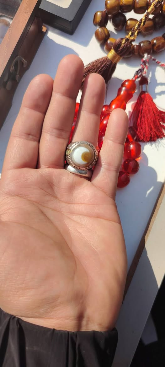 سليماني نوادر
لمحبي القطع الجميله ولراقيه
*********** خاص
