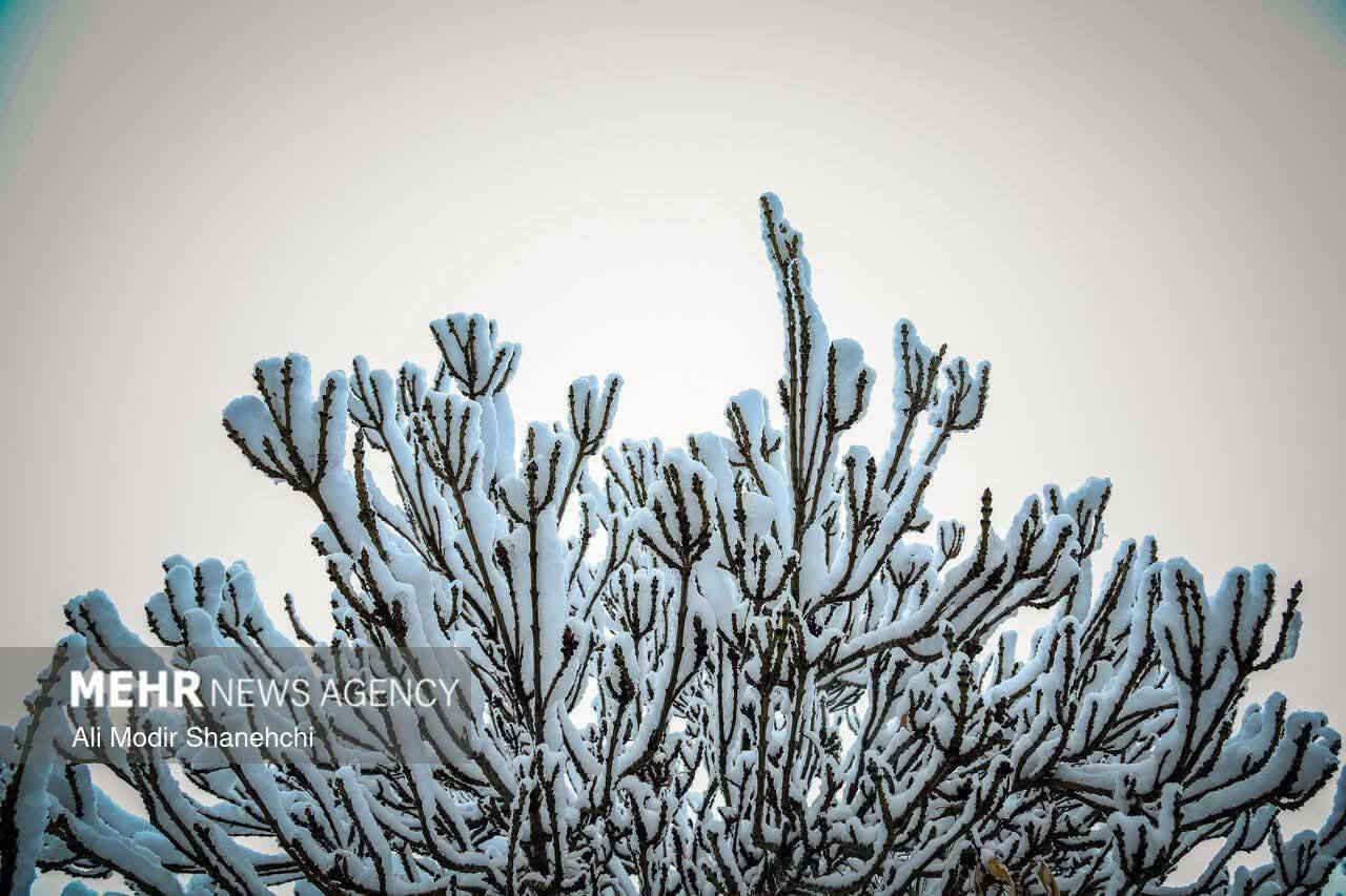 عروض غداً 2026/1/18✈️
نجف   ⬅️ مشهد 68 الف
مشهد ⬅️ نجف 110 الف 
-------------------------------------
نجف ⬅️ طهران 133 الف 
طهران ⬅️ نجف ✖️ 
———————————
بغداد ⬅️ مشهد 68 الف 
مشهد⬅️ بغداد 115 الف 
———————————
بغداد  ⬅️ طهران 83 الف 
———————————
نجف  ⬅️ اصفهان ✖️
اصفهان⬅️ نجف ✖️
العنوان : بابل  الهاشميه 
للتواصل والاستفسار : 
🧑‍💻*********** 👩‍💻
*علماً الاسعار متغيرة وليست ثابتة
