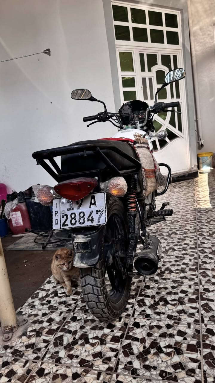 بوكسر كلاسك 23اصل ام السكن 
مراوس بجبلي او بيع بيها خيط تبخير سعرها 2200
مكاني بعقوبه


**إذا كنت صاحب هذا الإعلان وتريد حذفه لأي سبب، رجاءا أرسل رسالة إلى الدعم الفني**