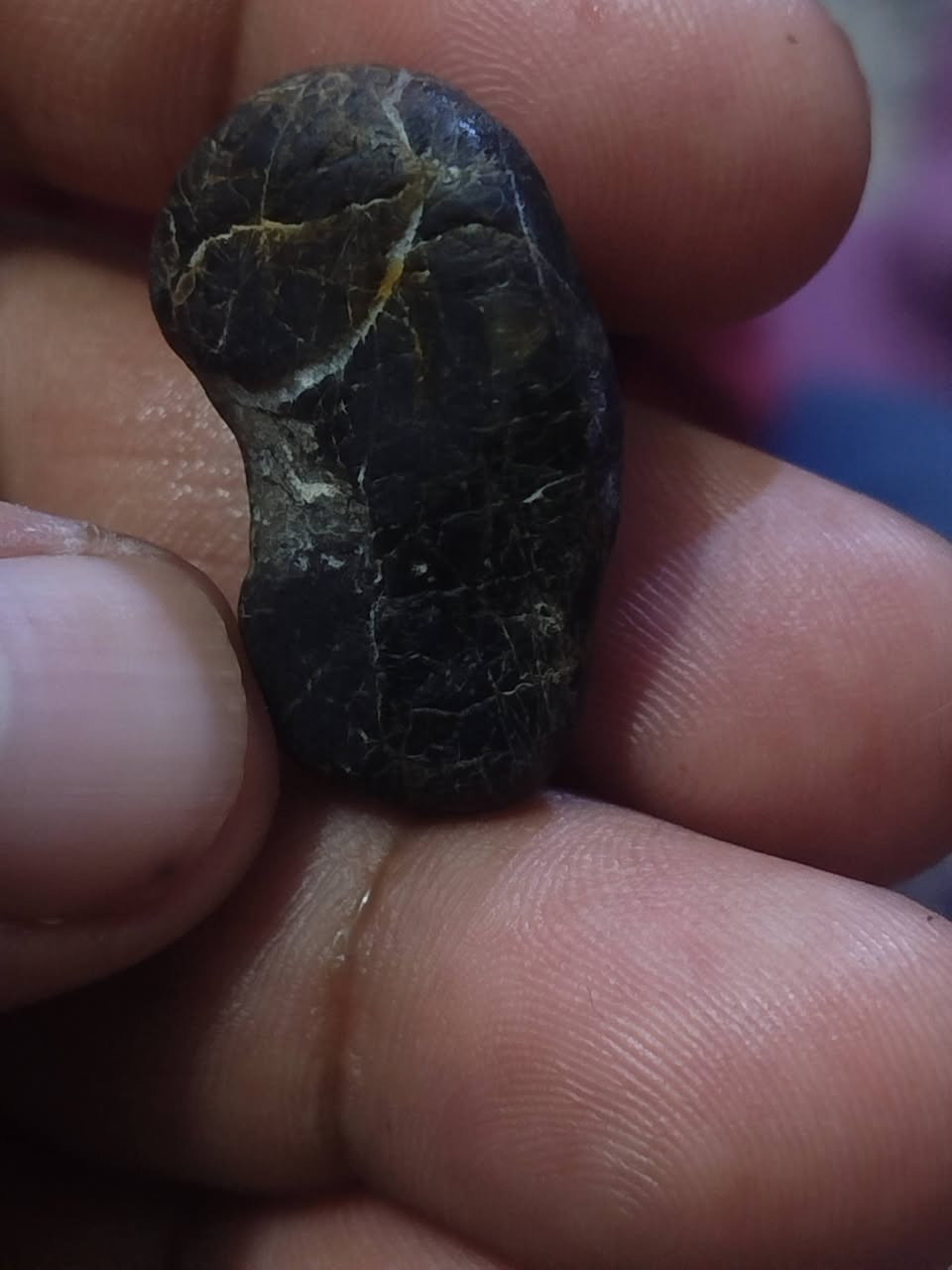 سليماني اسود ابو العينين للبيع التواصل خاص


**إذا كنت صاحب هذا الإعلان وتريد حذفه لأي سبب، رجاءا أرسل رسالة إلى الدعم الفني**