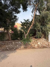 🏠 قطعه ارض للبيع 🧿 📍 الموقع : شارع فلسطين  🛑 المساحه الكليه : 150 متر ...