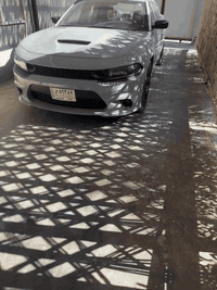 للبيع بنيد او دعاميه جيتي للاستفسار 07713290442