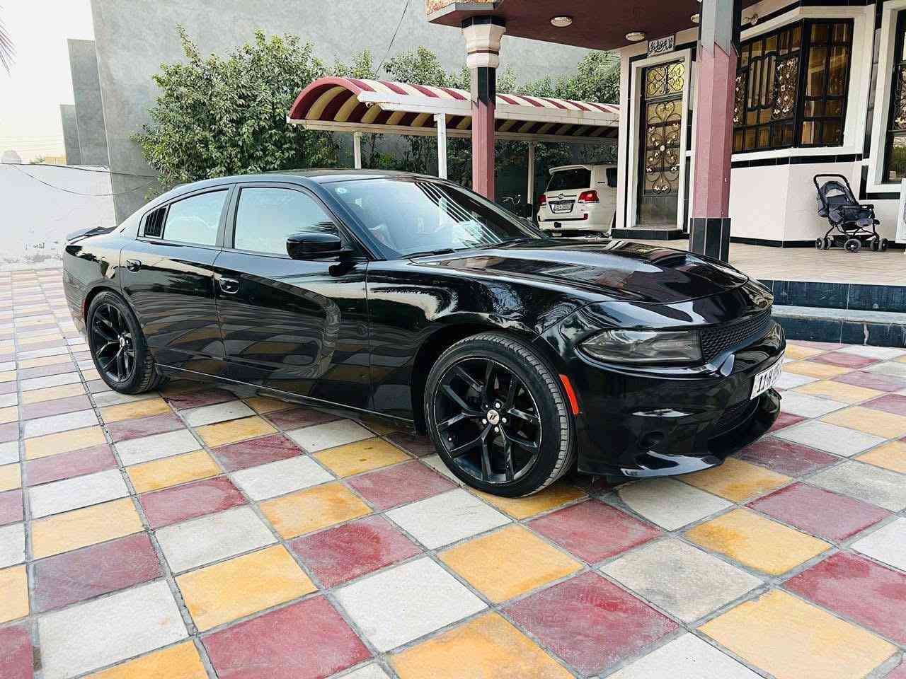 موديل ١٩ اريد مراوس برام اسواد فقط بدي قصير من ٢٠ وفوك رقم شمالي  
***********
