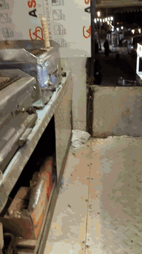 ‏السلام عليكم سياره مطعم متنقل للبيع كوستر  وشغاله مكينه جديده كير جديد  تخم تاير غراض مطعم وياها علان جديد اناره لدات كلها شغاله وجديده سياره رقم اصولي تريد تحويل تريد وكاله مكان الدوره الصحه رقم ***********
‏ويا غرض مطعم 
‏كريل فحم
‏كريل عادي
قلايه فنكر 
قلايه زنكر 
‏كابسه صاج 
‏سنك 
‏تانكي
‏شوايه كص 
‏مجمده 
‏عارضه
‏منضومة كامرات
‏تغليف سلستيل 
‏برادات عصير 
‏غلاطات عصير 
‏صبغ حراري مال سيارات درجه اوله معا رسم 
‏سفسار ***********
‏
