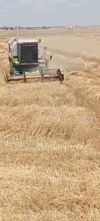 حصادة • للحصاد • الشرقاط الساحل الايسر
