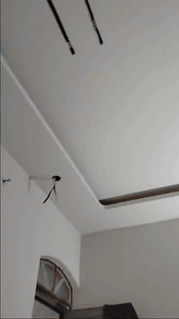 خدمات منزلية • الموصل • القرى المجاورة