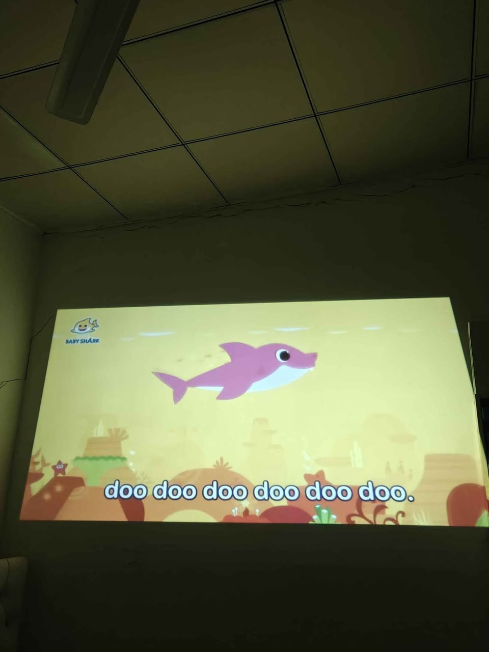 داتا شۆ لۆک  فوول مواسەفات یتوب و ڕەپتی موبایل ئەبێ و کۆنتڕۆڵە   کوالێتیەکی  زۆر باشی هەیە نرخی 60 هەزار
*********** السليمانية, العراق
