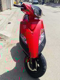 دراجة ثعلب • بدون نقص • مكاني الشعب