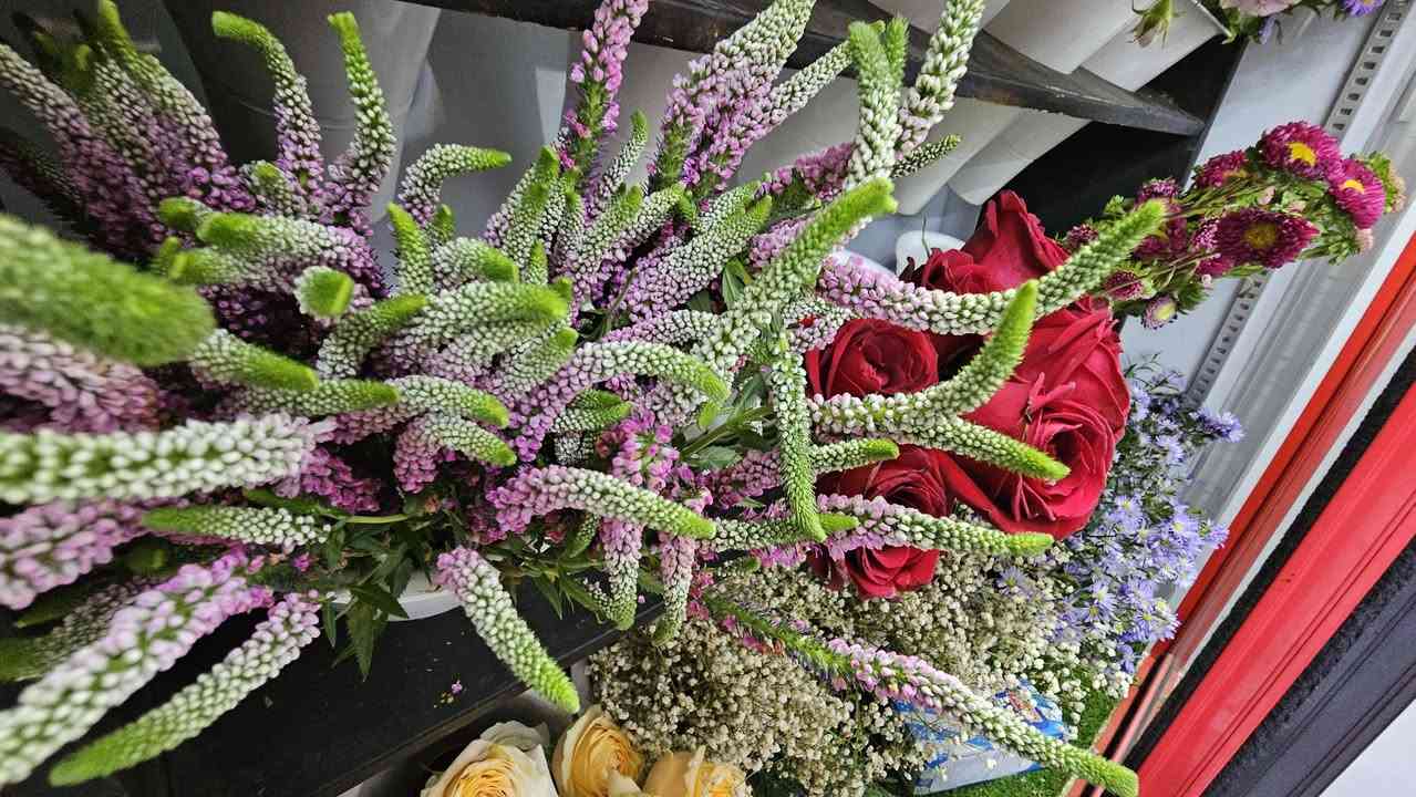 يسرّنا أن نعلن لكم  افتتاح مكتبة آي تي روز | IT ROSE 🌹 لتكون وجهتكم الأولى والمتكاملة في المنطقة. جمعنا لكم كل ما تحتاجونه تحت سقف واحد وبأعلى جودة وأفضل الأسعار! 

🛍️ ماذا تجدون في مكتبتنا؟
 📝 القرطاسية المتكاملة: تشكيلة واسعة ومميزة تناسب جميع المراحل الدراسية.

 📚 الكتب والمناهج: طباعة ملازم خاصة بالدورات التدريبية والدراسية بدقة عالية، وتوفير الكتب المنهجية.

 🎓 تجهيز طلبة الجامعات والمعاهد: مستلزمات ومعدات كاملة وجاهزة لطلبة الكليات والمعاهد، وبشكل خاص طلبة الفنون الجميلة.

 🎁 الهدايا والإكسسوارات والعطور: أرقى التنسيقات والقطع المميزة لتناسب جميع مناسباتكم وإهدائاتكم.

 🎮 ألعاب: زاوية مخصصة لأحدث الألعاب والترفيه.

 💐 الورد الطبيعي وباقات الأعراس: نتميز بلمستنا الخاصة في تنسيق باقات الورد الطبيعي الساحرة وباقات الأعراس لتكتمل فرحتكم.

📍 العنوان:
النعمانية - حي الصدرين - مقابل إنشائية حجي حافظ.

للتواصل والاستفسار: ***********
