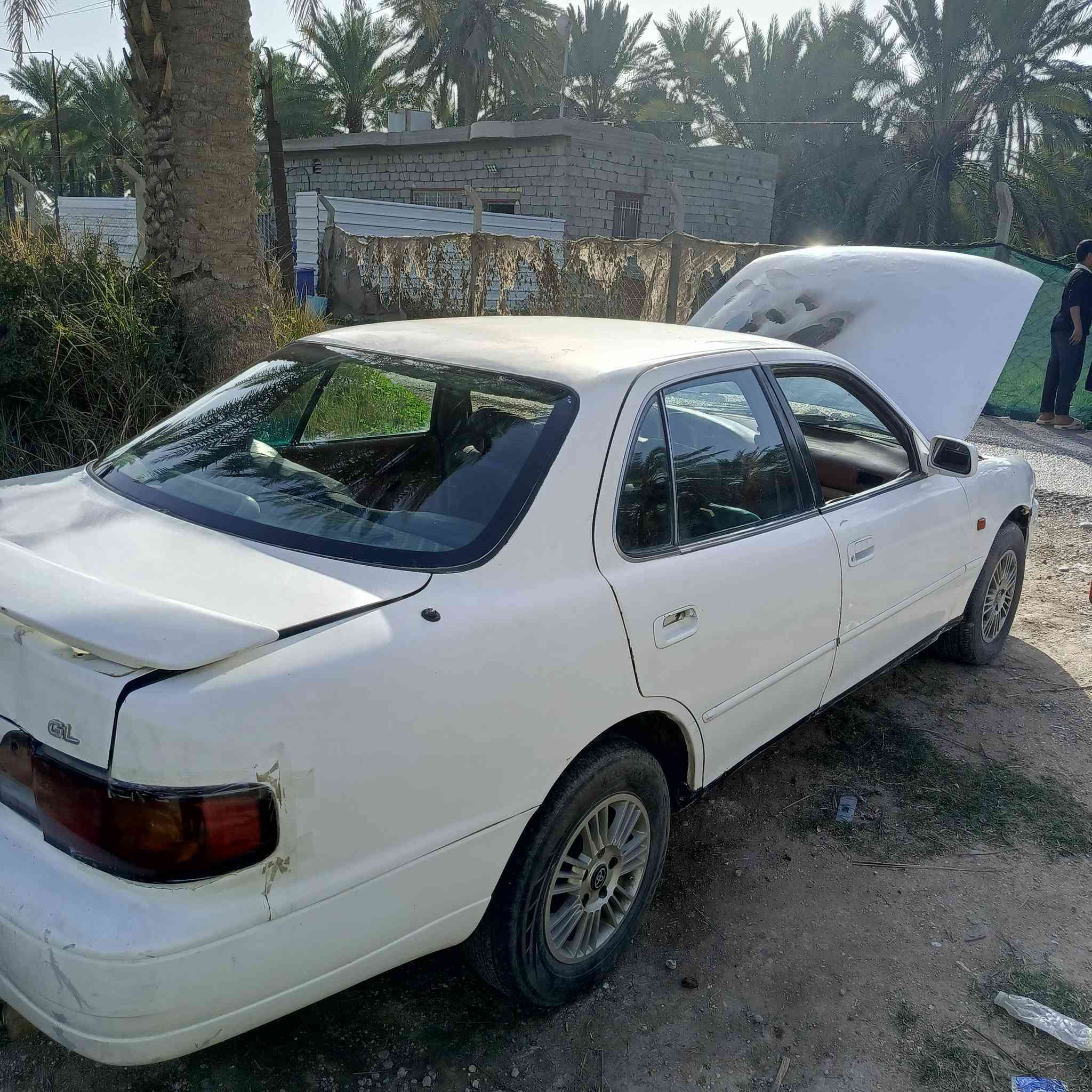 السلام عليكم
عندي سيارة كامري موديل 1996 رقم بغداد  يسرى بلادي مواصفات خليجي كير ومحرك مكفولات تبريد شغال الكشر مابي ضربه قوية لغود بلادية السيارة احتركت كهربائياتهة وبدلتلهة ضفيرة جديدة مكاني بغداد الدورة رايدهة ب45 ورقه وبيهة  مجال والتفاصيل كامله بالصور والفيديو ما مامتواجد عالفيس 
الهاتف ***********
